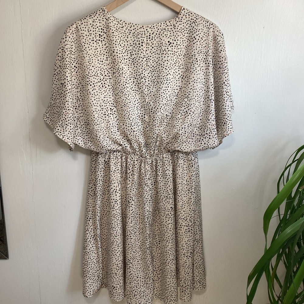 Express Polka Dot Dress - Picture 5 of 5